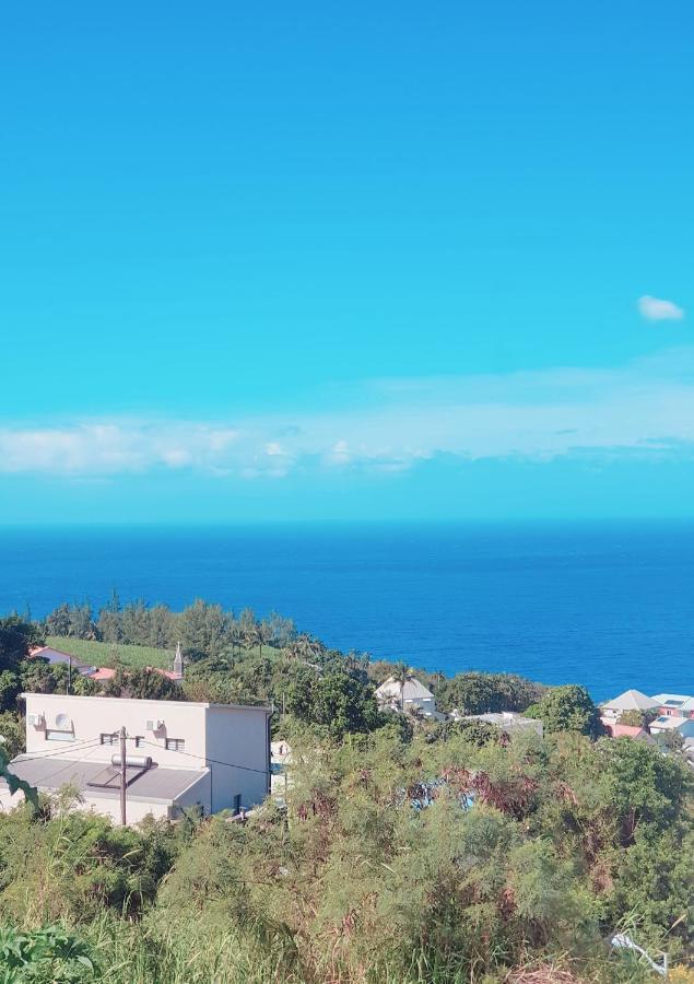 Lilie Location Manapany 4 Etoiles Villa Petite Île Eksteriør bilde